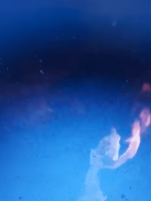 Item #85043563857425734787029872858228068518532895461354812368453170779075362422785 Media