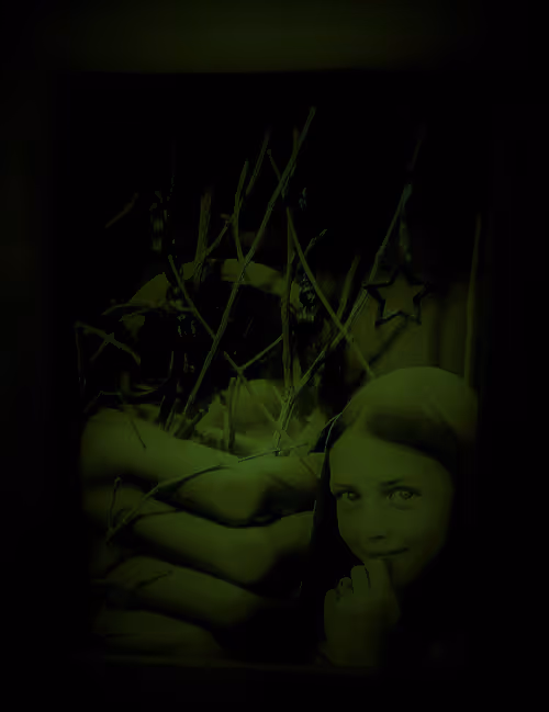 Item #85043563857425734787029872858228068518532895461354812368453170635039339184129 Media