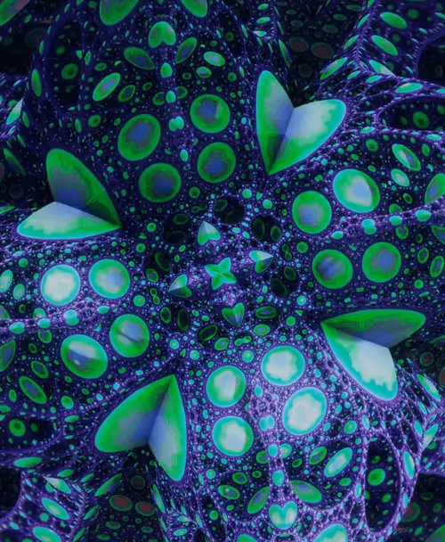 Item #53809552075289826632018308841266504236703419005994645528022948963608382406661 Media