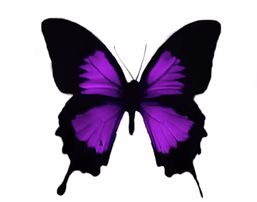 Item #114870335106955473169093684983485936452695297859029117914503749915298559426561 Media