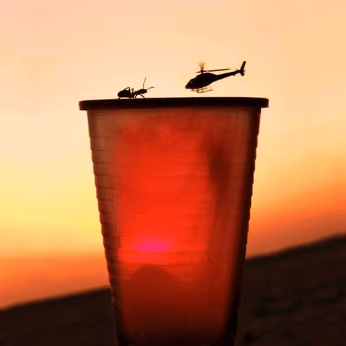 Item #21862560075351750362834648829307027680391468990895687197629985743045438472193 Media