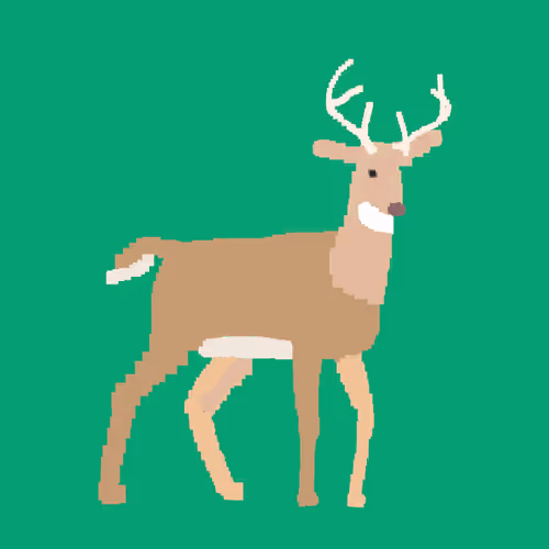 Item #4701409408233180970371376982881942522949121850331377850022905111434460397668 Media