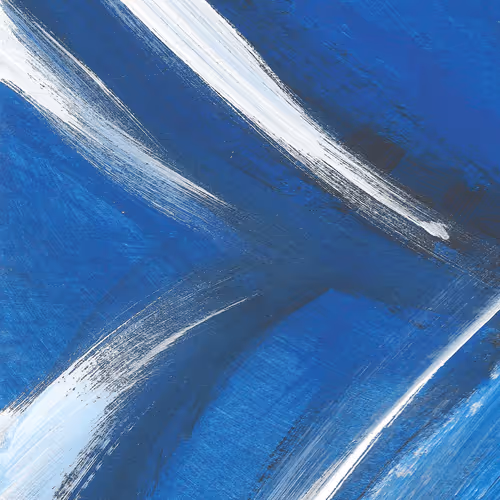 Item #33837607000032352885927809074044552355020479936404486384619596291125450637313 Media