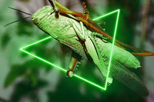 Item #21998851563374024830855734548406497871386812282373369252123987905982735843428 Media