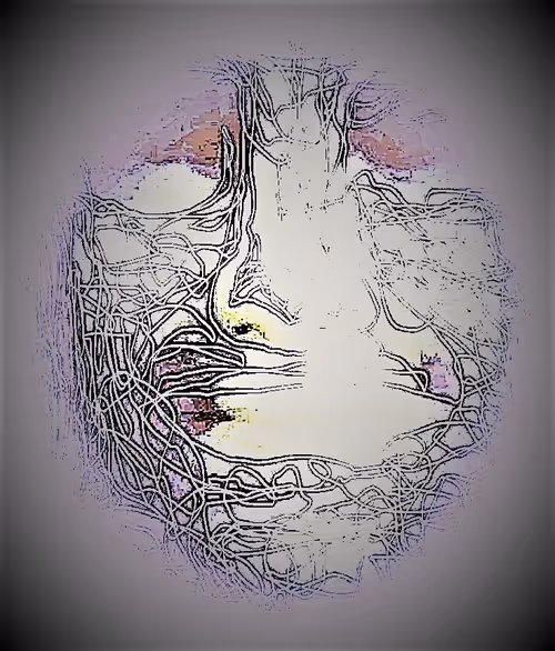 Item #85043563857425734787029872858228068518532895461354812368453170624044222906369 Media