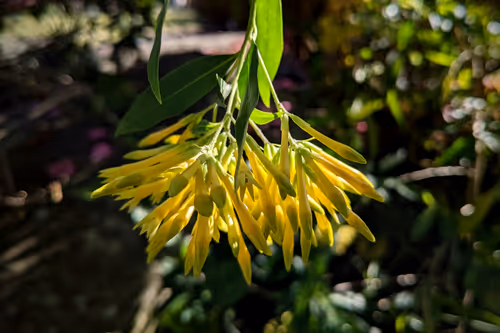 Item #39075669952795110311488058078452160275975432518977374571902800582730902929409 Media