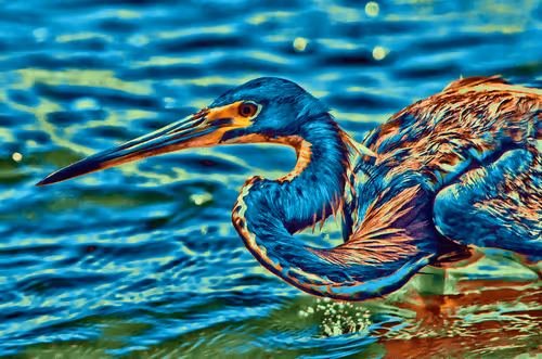 Item #55704534837685659622621715309832868758345944585427688586690141560899389882373 Media