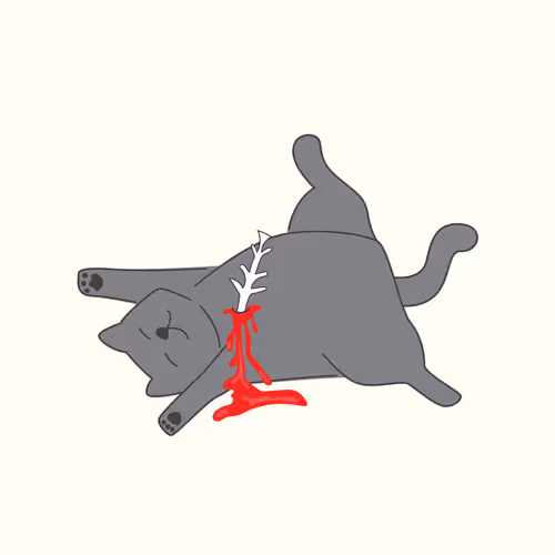 Item #112500818710330054767649095233578717987360259005227425519009153307472606265345 Media