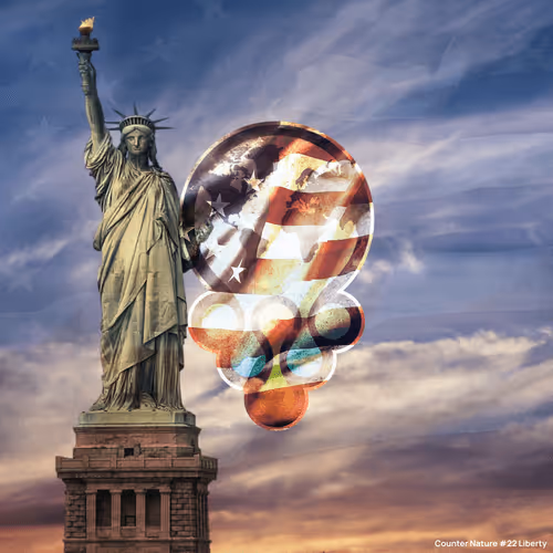 Item #64536456341285675859788069130660088481171403000174399081275630874165958934529 Media