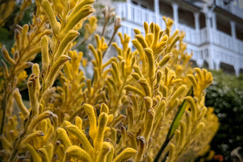 Item #39075669952795110311488058078452160275975432518977374571902800580531879673857 Media