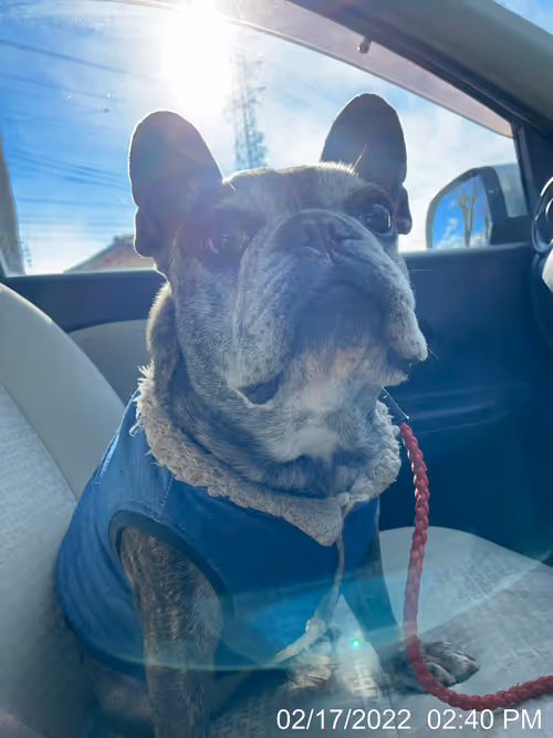 Item #99685864258770601277757069699041273913103300030191572471139504681228143951873 Media