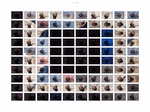 Item #99206175731752603969632246751396839615347692654100145142238794328081875075074 Media