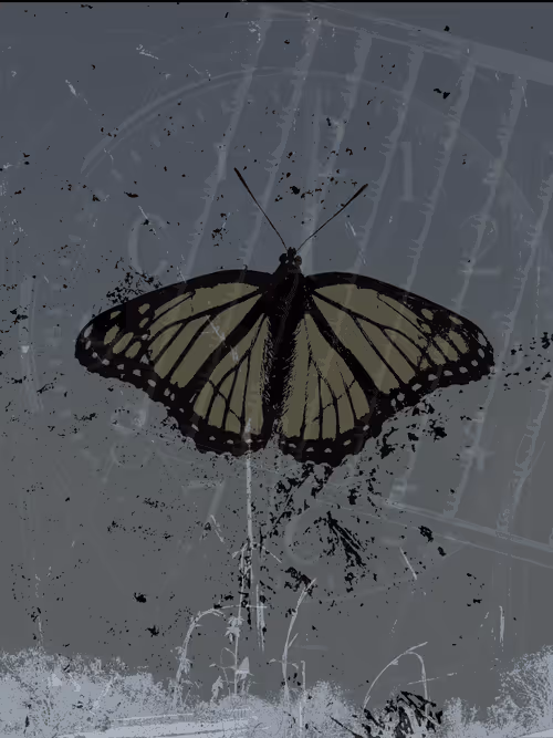 Item #111652930109264043611935341067736255756439208084570795366540966581952235700225 Media