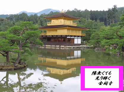 Item #105860209069510851658697483595549526517143773271628059867265555027000517722117 Media