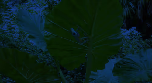 Item #41423174657448755454775180770704774351895892577704630438802697564365623656449 Media