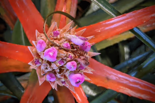 Item #39075669952795110311488058078452160275975432518977374571902800613517228507137 Media