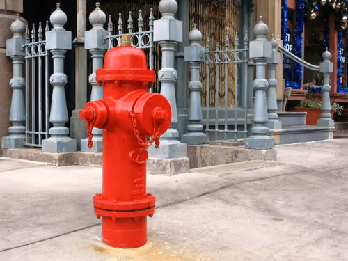 Item #100987562478615090360707683217889240424329144590499080212126269554815615893505 Media