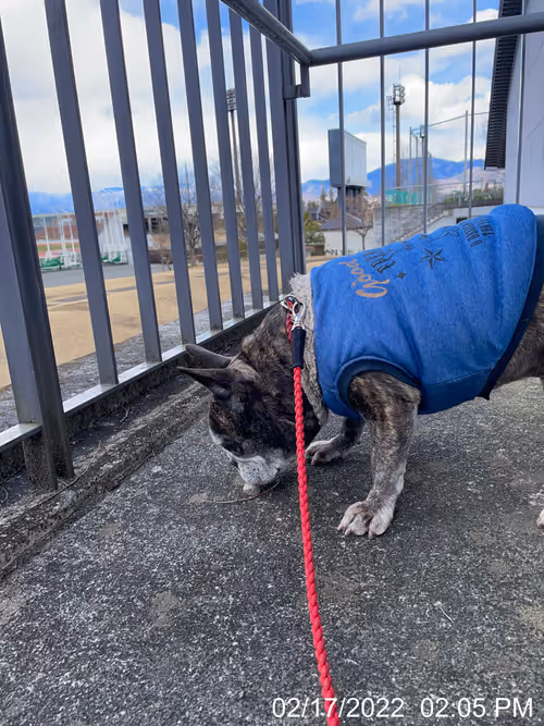 Item #99685864258770601277757069699041273913103300030191572471139504673531562557441 Media