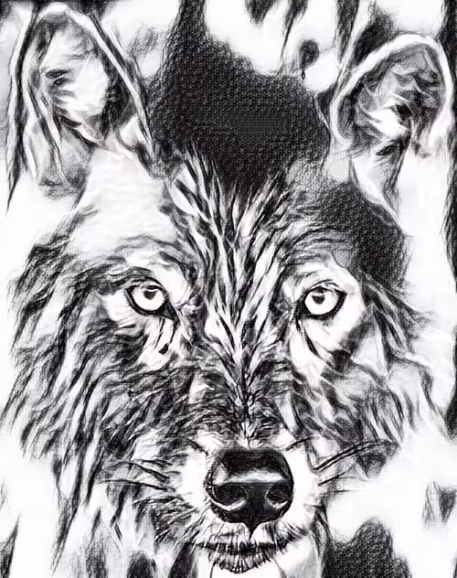 Item #22623297383426892917101335270761698949847758593200202890070986054361734447154 Media