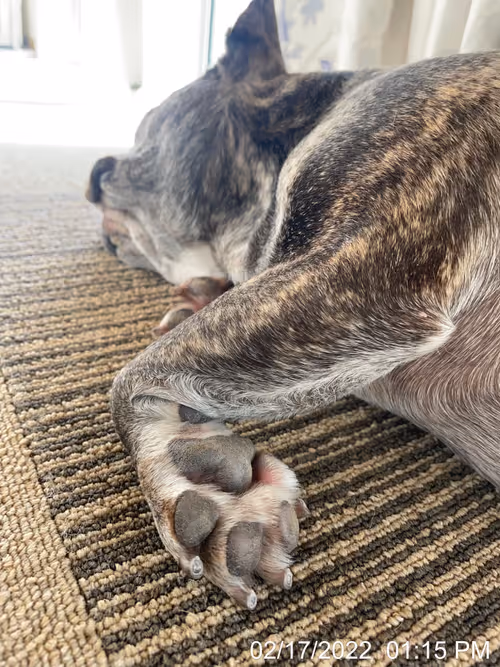 Item #99685864258770601277757069699041273913103300030191572471139504662536446279681 Media