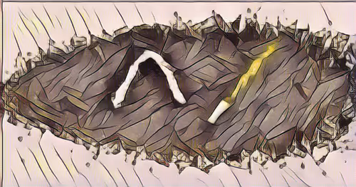 Item #42093524335751494135249053847432370819617106134141189519089943494876259690256 Media