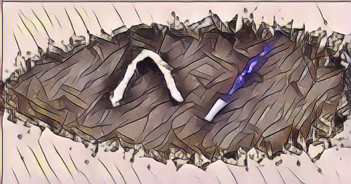 Item #42093524335751494135249053847432370819617106134141189519089943491577724806928 Media