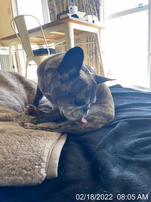 Item #99685864258770601277757069699041273913103300030191572471139504818667097423873 Media