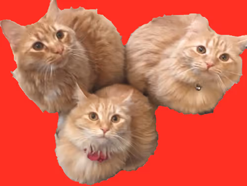 Item #94805265999709624542573221324772378019818175988873368548427765413988685316097 Media