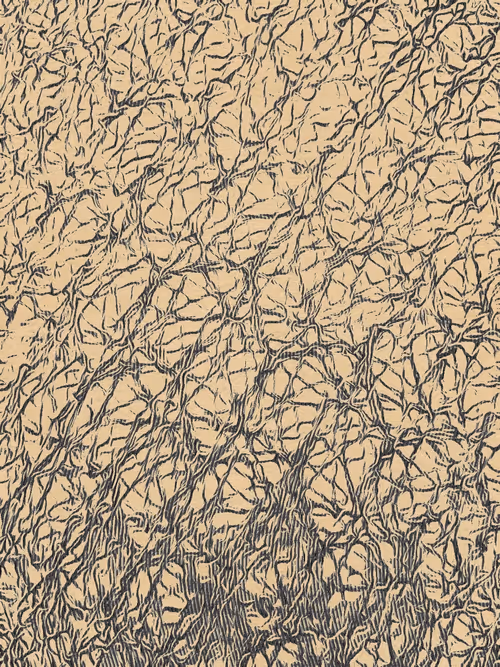 Item #26363452696448564677607507811535355388888413099510016234842399959264327106561 Media