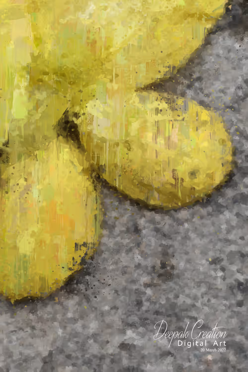 Item #54982935848129991973556064689647480390460762275352014366591179512280120295425 Media