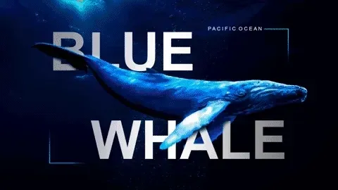 Item #57871264073551582133324305053482472412028468757841035148939326773042840862820 Media