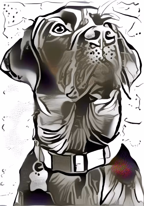 Item #94633138191450171774936613272738146477458314748765306219033551081478079643748 Media