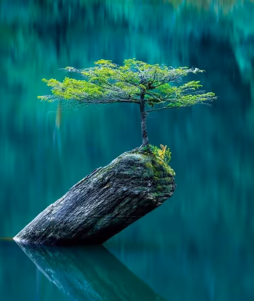 Item #109710830588480399268409455357539415839296167473445884238230358311998131798017 Media