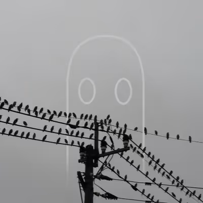 Item Media