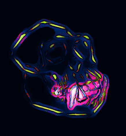 Item #80926432860847288351557924068159633664804178470775081465336394983004358836225 Media