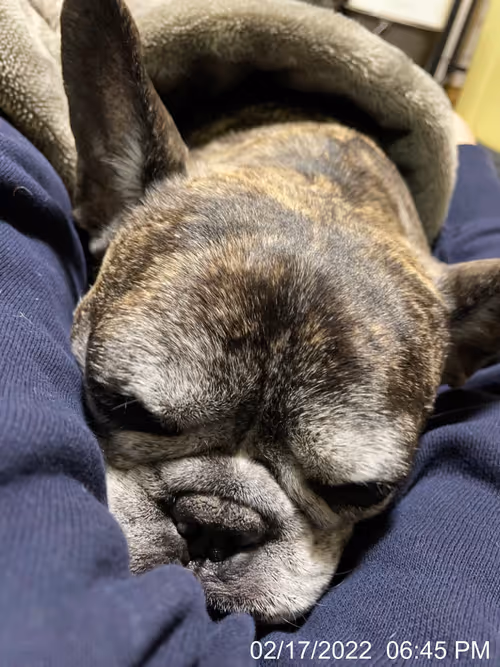 Item #99685864258770601277757069699041273913103300030191572471139504735104213712897 Media