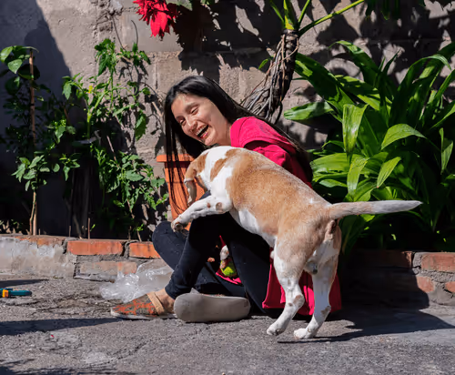 Item #68974856610287891345398477420152131783231641207281089982933452563794574180353 Media