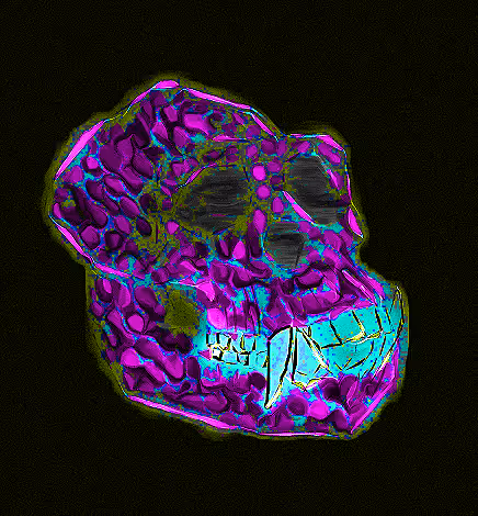 Item #80926432860847288351557924068159633664804178470775081465336394964312661164033 Media