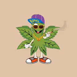 91388360688373327635579820732488516580785449605056093369104029365707661639681