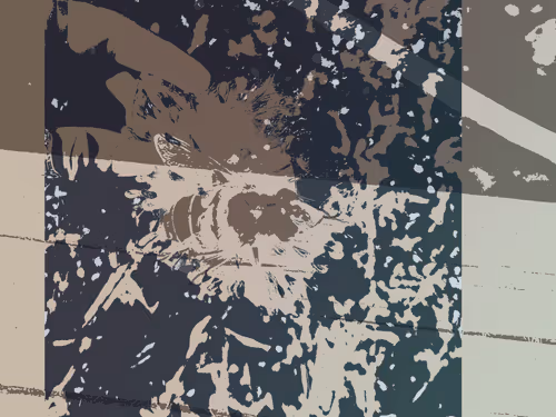 Item #111652930109264043611935341067736255756439208084570795366540966554464445005825 Media