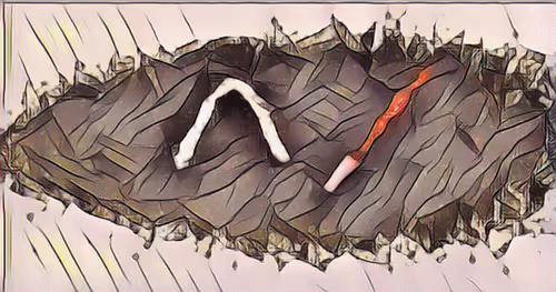 Item #42093524335751494135249053847432370819617106134141189519089943495975771318032 Media