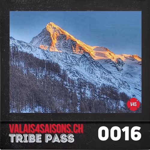 Item #39786290344722078492380092335018152769613718580951651570433323108469502377985 Media