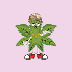 91388360688373327635579820732488516580785449605056093369104029331622801178625