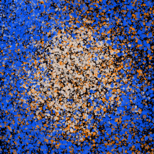 Item #7965548957634048696058756427613810033332288381231321723297303258164296155137 Media