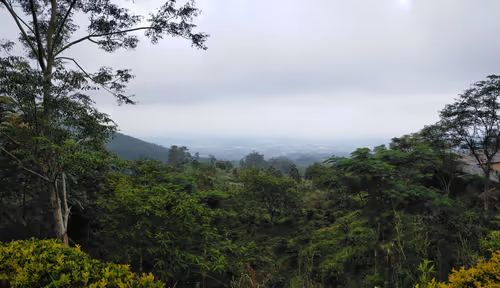 Item #111656158034307518471123911429226470304430778957481106264410992928743755874305 Media