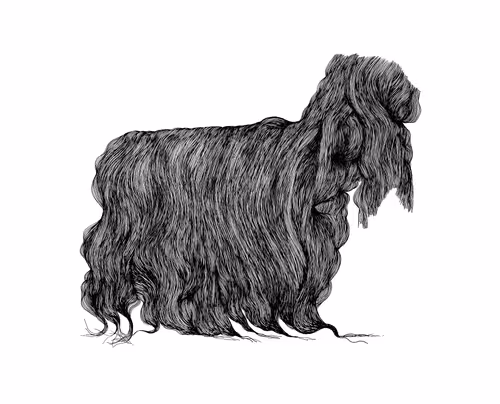 Item #48216677678887992956199146050101977369740452437452834237877791671895841570817 Media