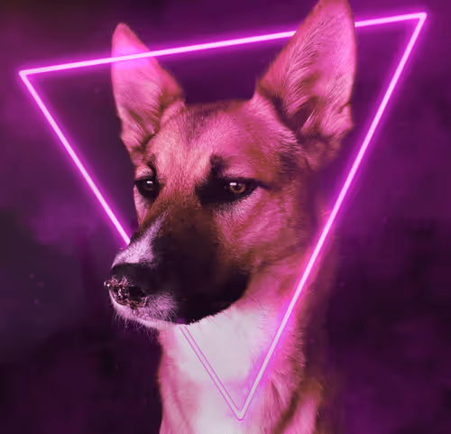 Item #21998851563374024830855734548406497871386812282373369252123987909281270726756 Media