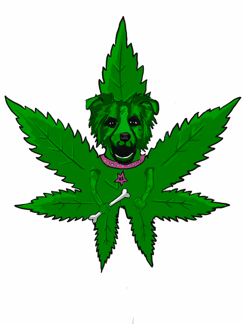 Item #3629226787036885345407013839473637357726433756934680638690710233577152315393 Media