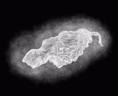 Item #48216677678887992956199146050101977369740452437452834237877791782946515976207 Media