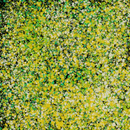 Item #7965548957634048696058756427613810033332288381231321723297303204288226394113 Media